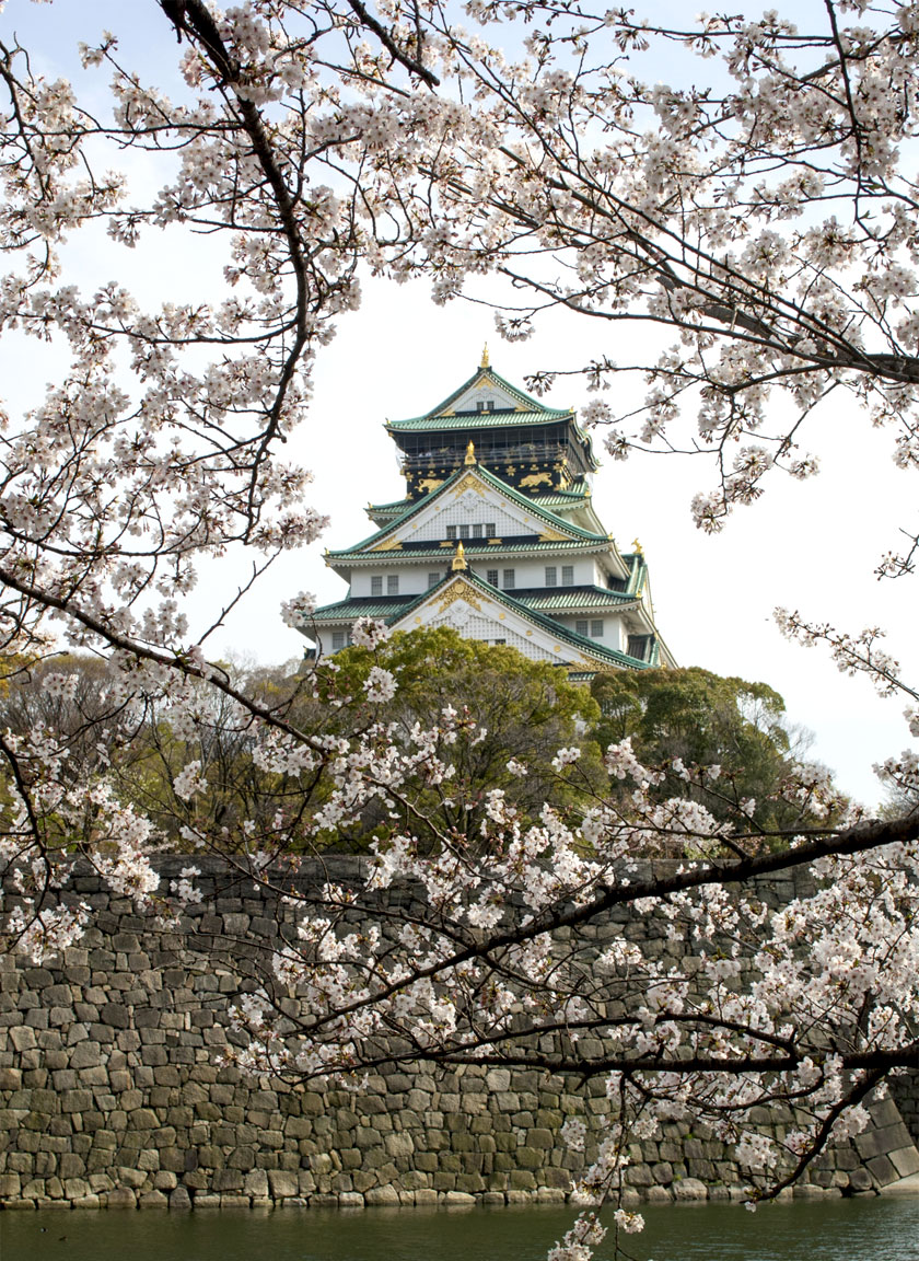 sakura-osaka