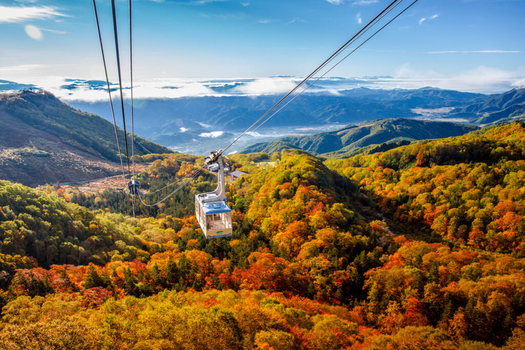 autumn in JAPAN