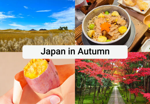 four-seasons and flowers f japan.