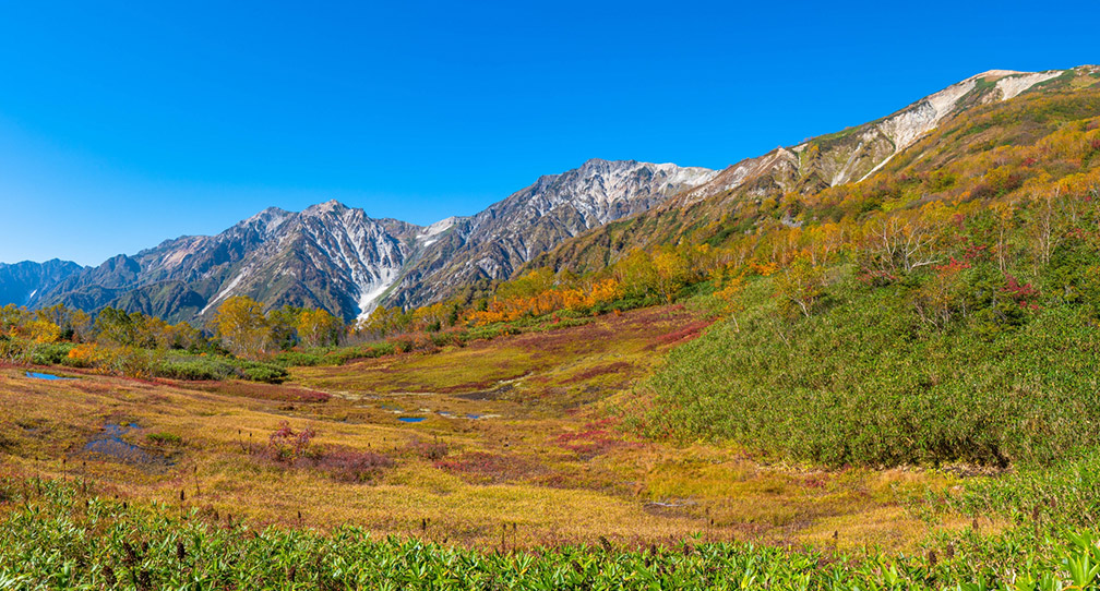 japan mountain