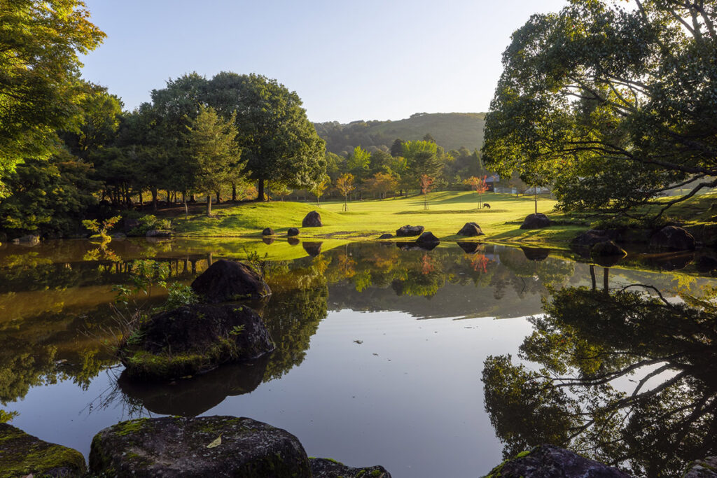 Nara Park