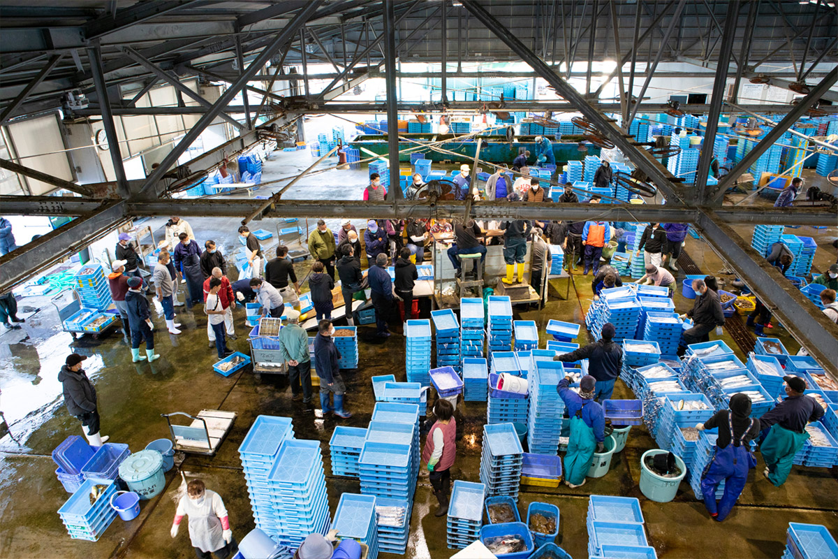 izumisano fish market