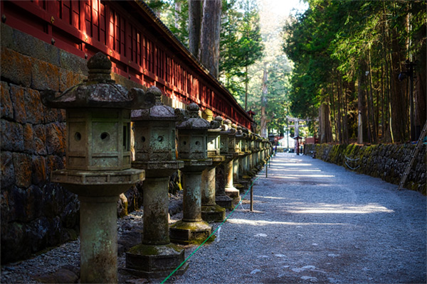 nikko03