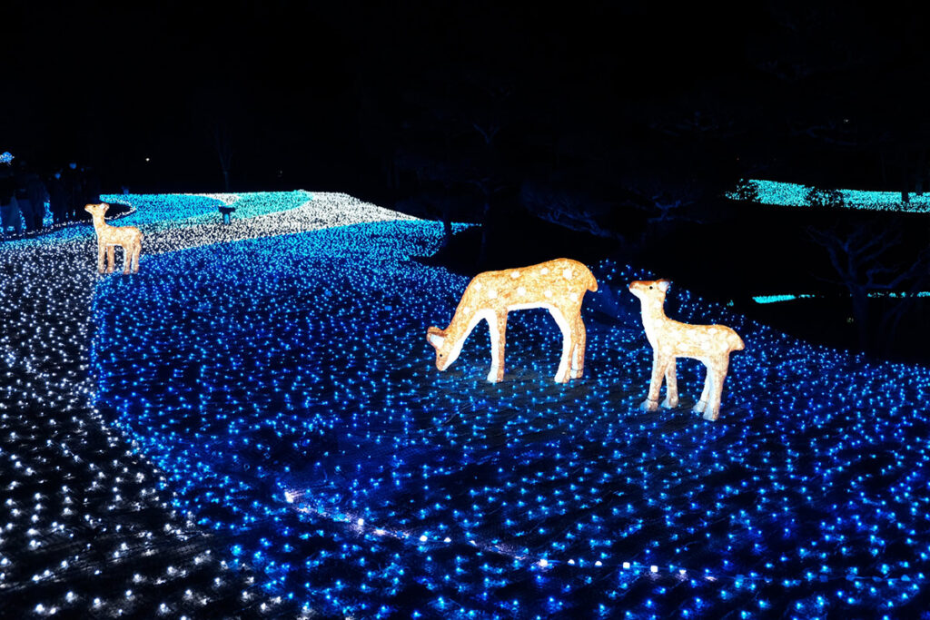 nara-illumination02