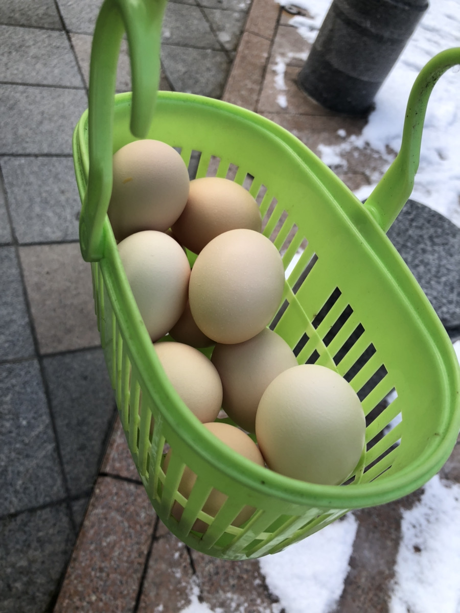 onsen eggs