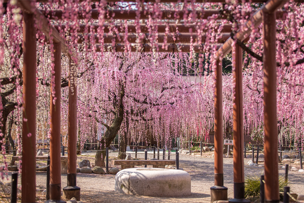 Yuki Shrine