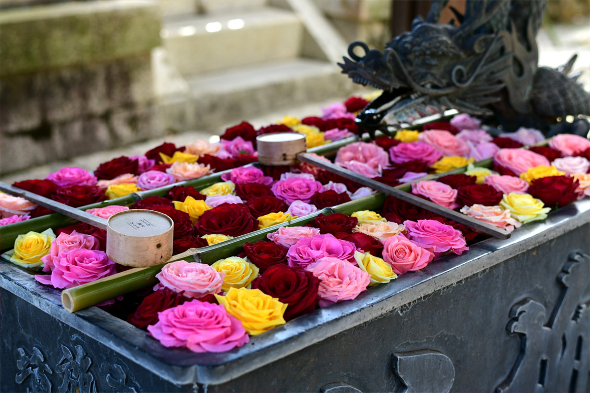 Yanagidani-Kannon-Yokoku-ji-Temple