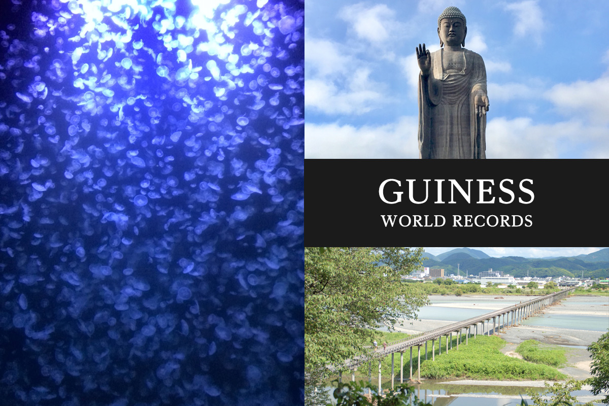 3 Japanese Sightseeing Spots in Guinness World Records