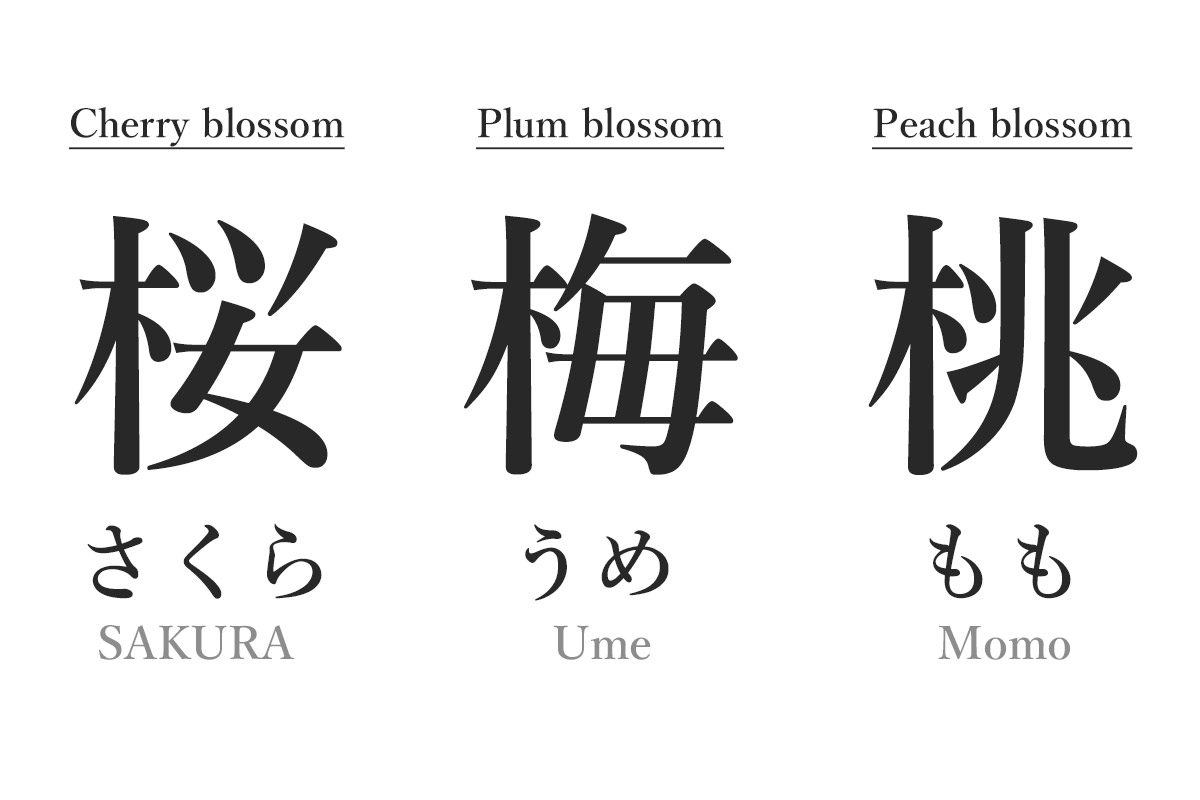 Difference between plum blossom, cherry blossom and peach blossom