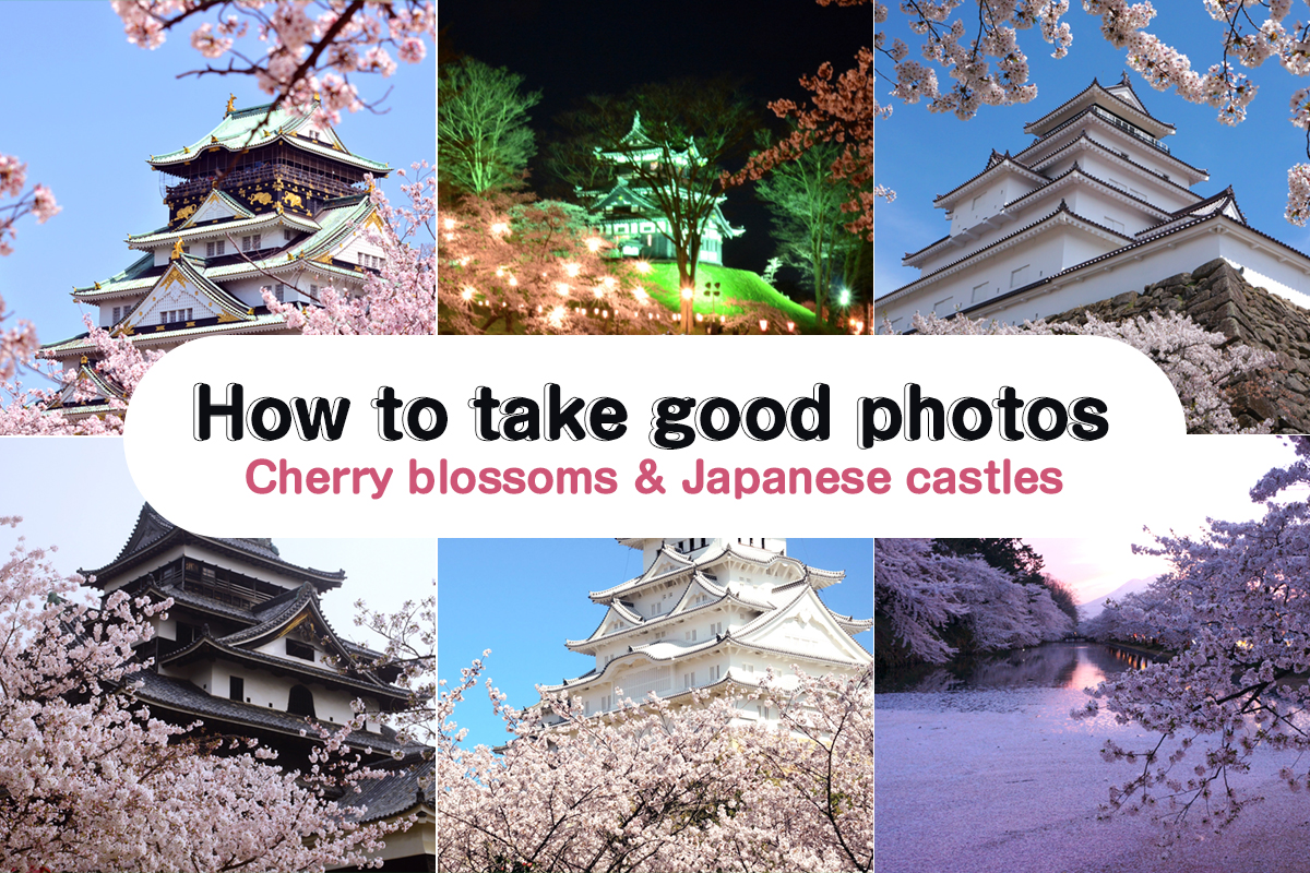 How to take good photos(Japanese castles and cherry blossoms)