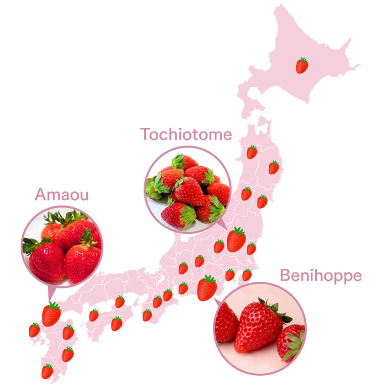 3 Japanese strawberry types