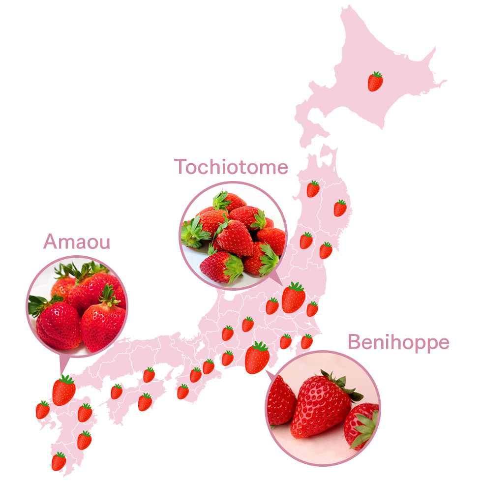 Strawberry Map