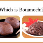 which is botamochi?