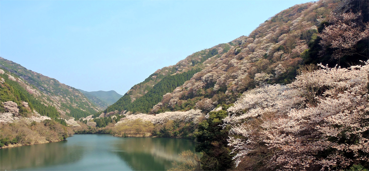 Yuzuruha Dam