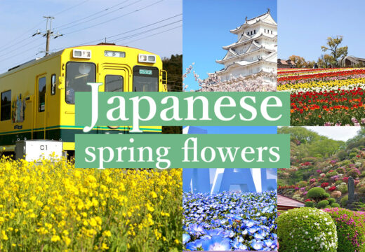 four-seasons and flowers f japan.