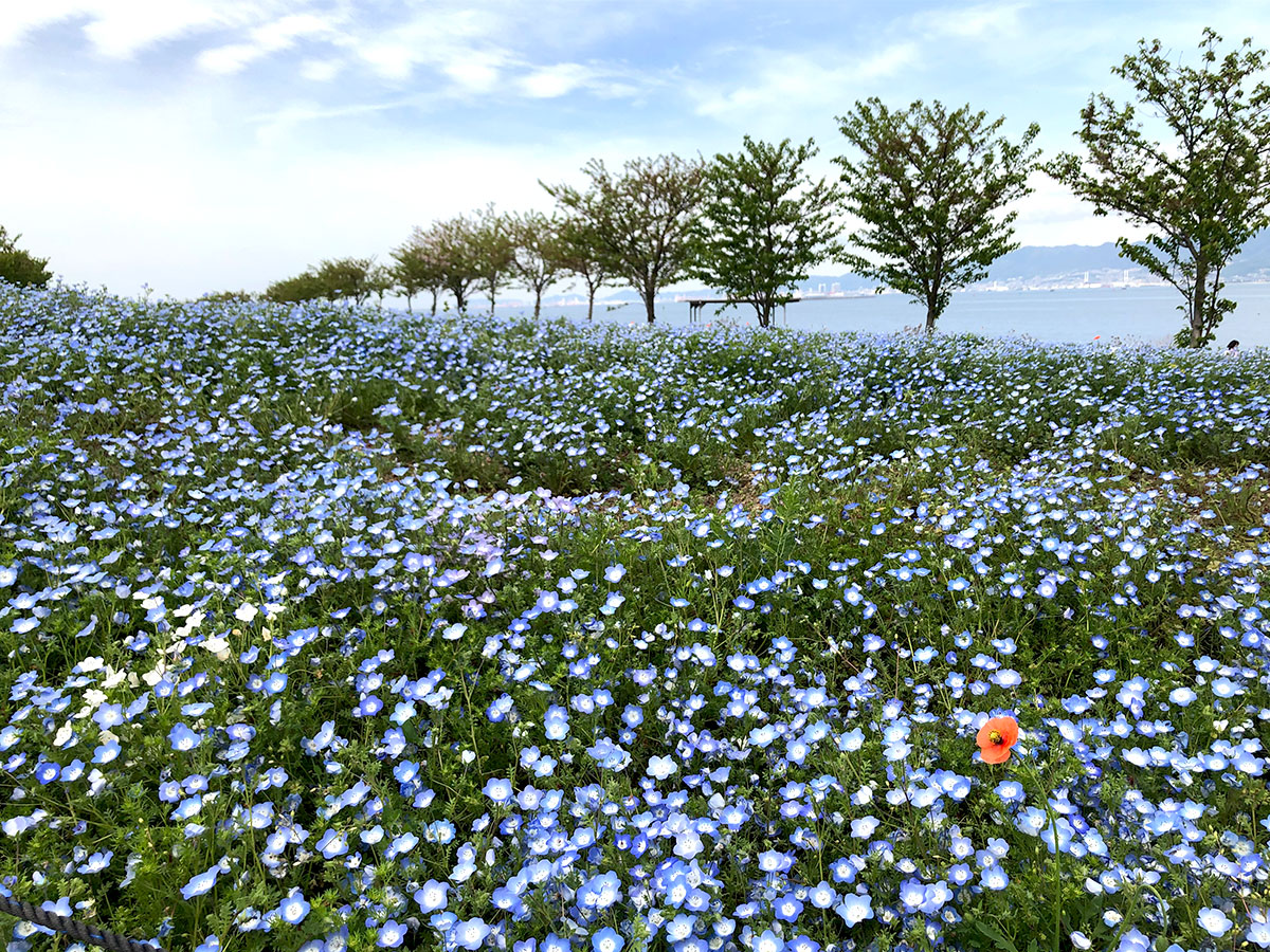 Maishima Seaside Park.