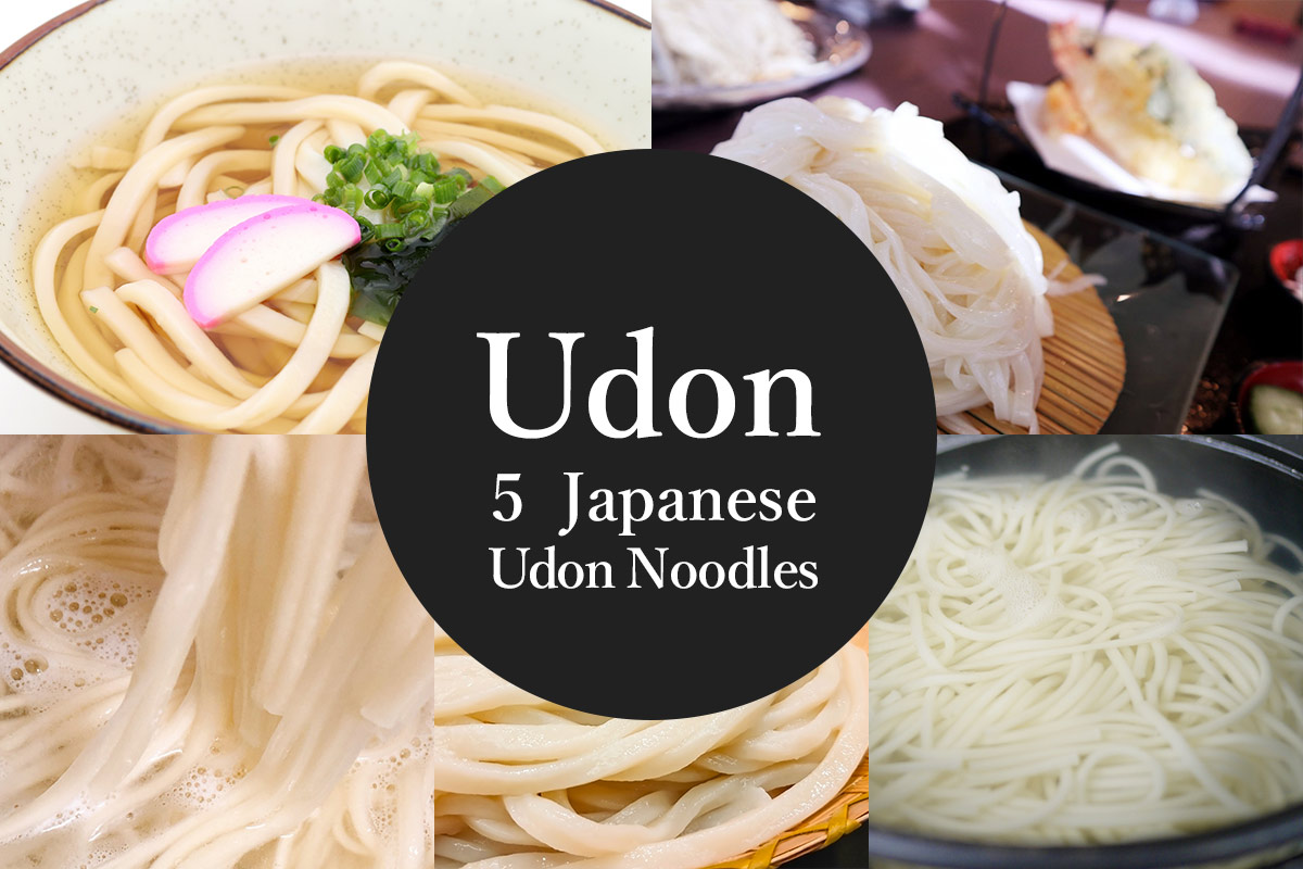 5 Japanese Local Udon Noodles