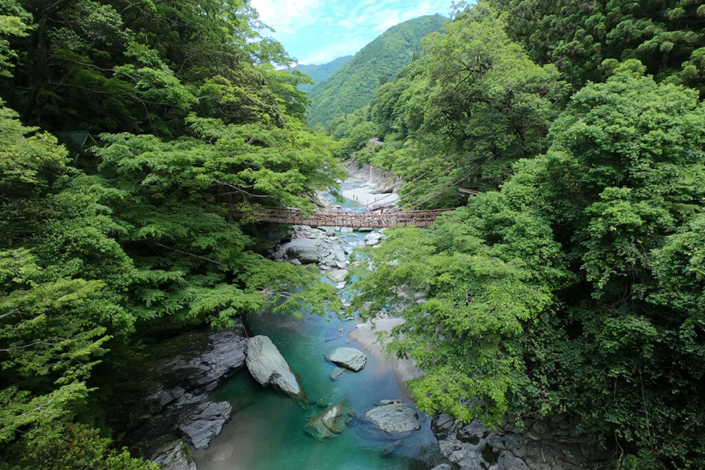 Thrilling! IyanoKazura Bridge(Vine Bridge) in Tokushima