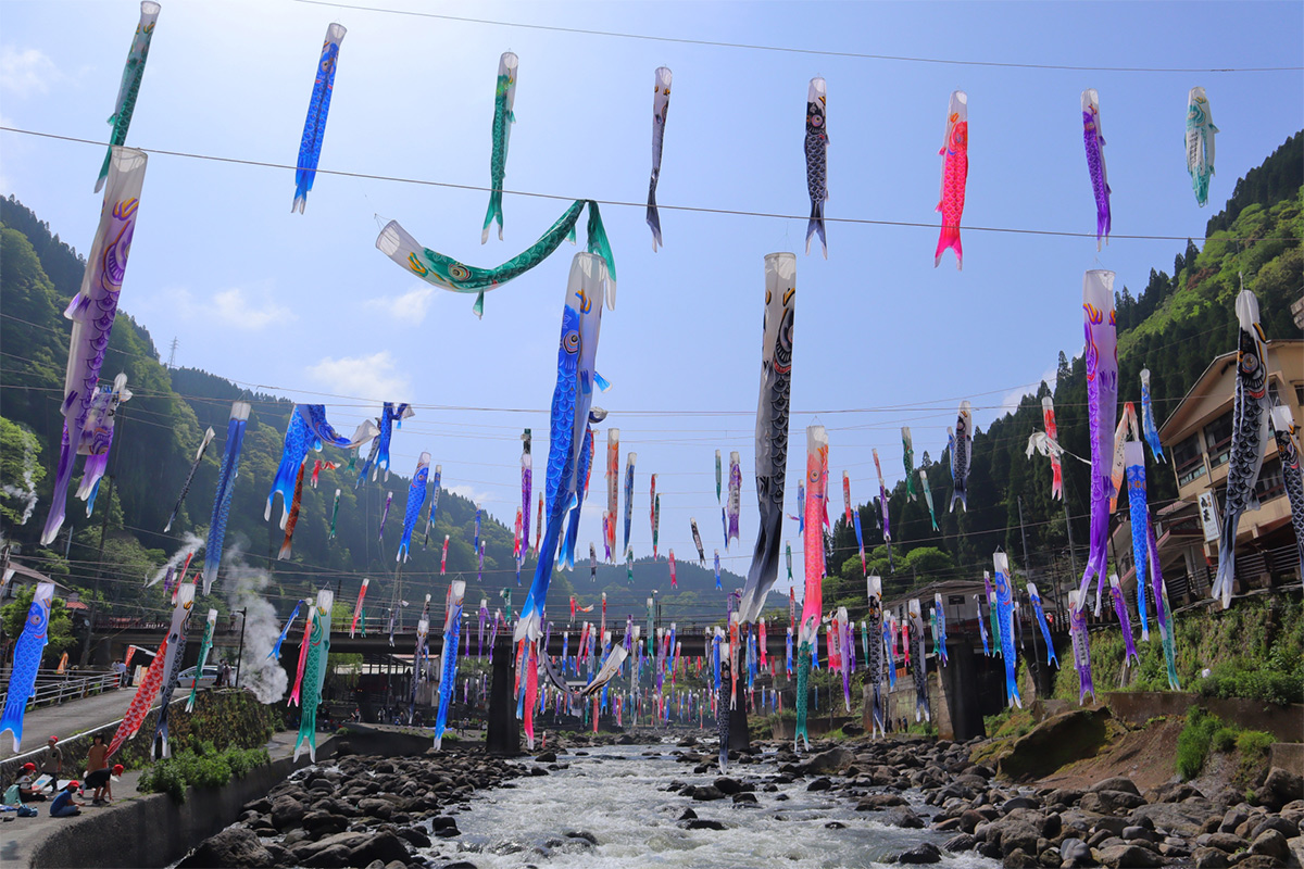  koinobori festival