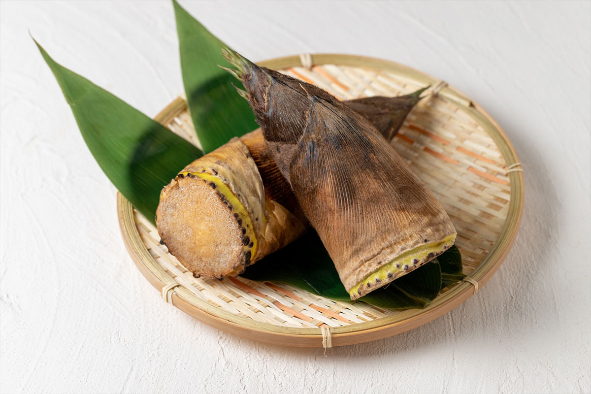 Visited Bamboo shoot (Takenoko) village (Food)