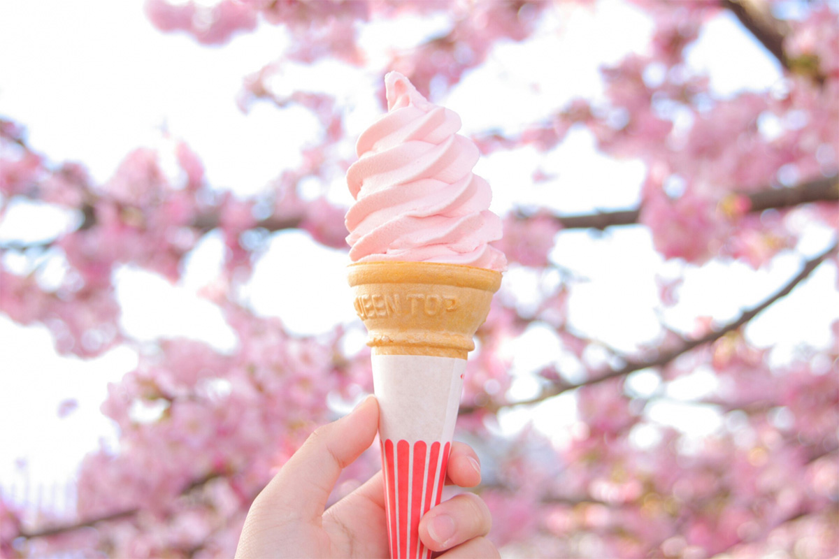 Spring Limited Sakura(Cherry Blossom) Soft Ice Cream
