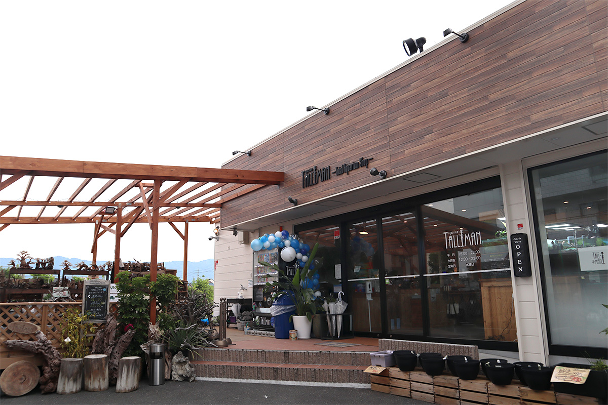 "Tall Man", a Japanese aquarium store.