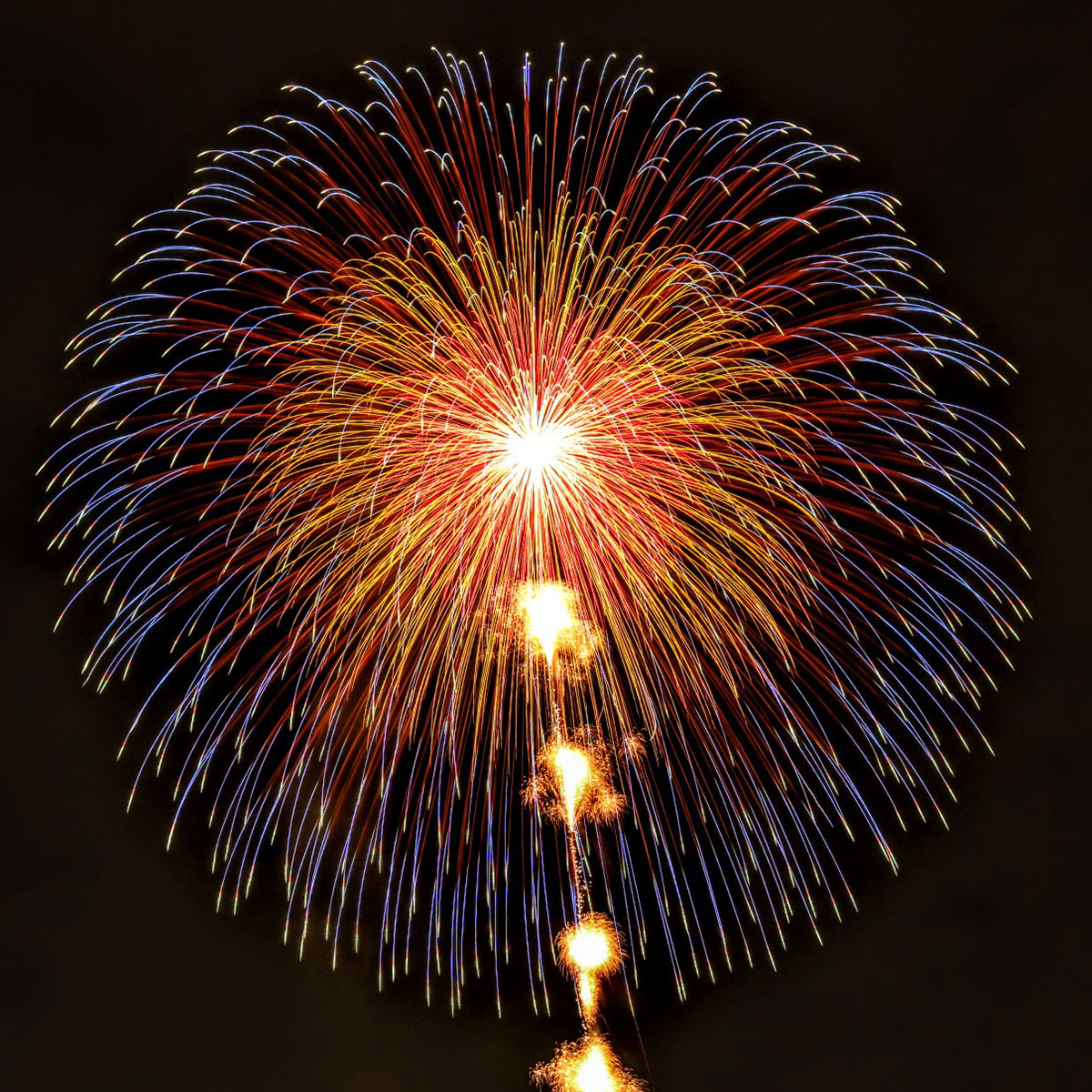 Tsuchiura all Japan fireworks competition