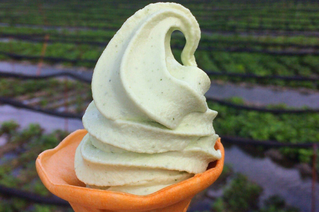 10 Most Unique Soft Serve Ice Cream Flavors in Japan