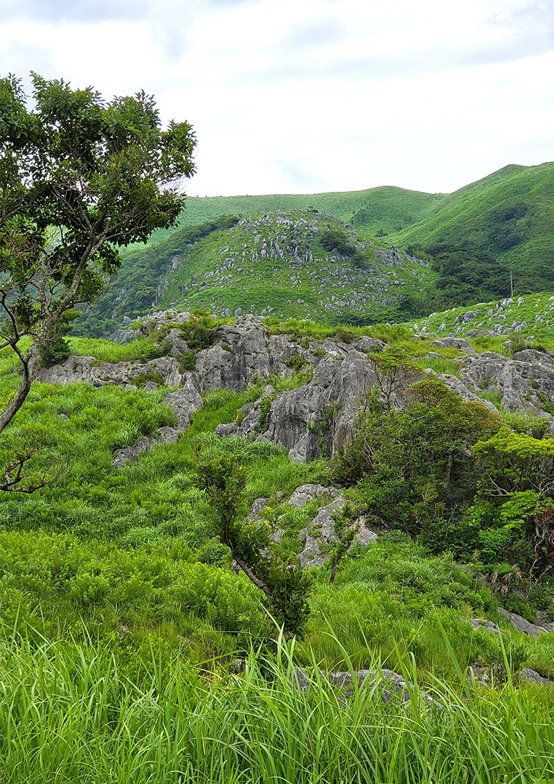 The Senbutsu caves lie beneath the karst plateau where limestone rocks tumble and tumble.