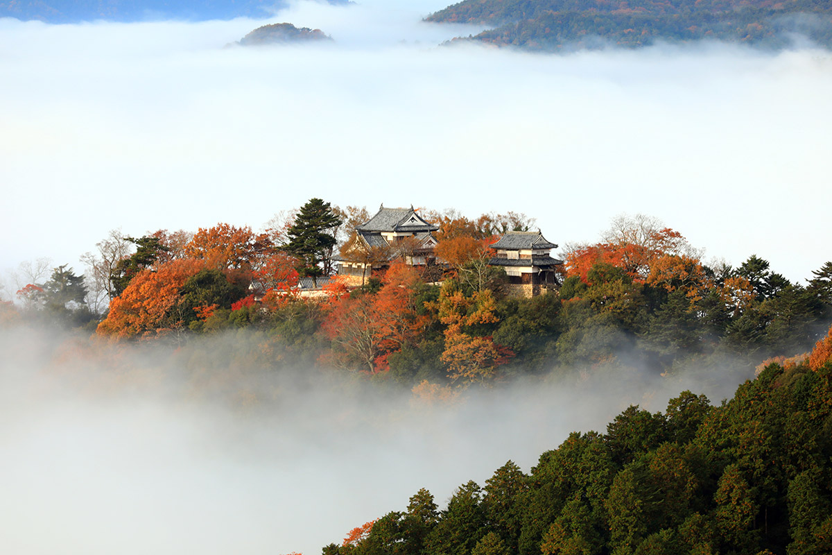 Bicchu Matsuyama Castle (Okayama)