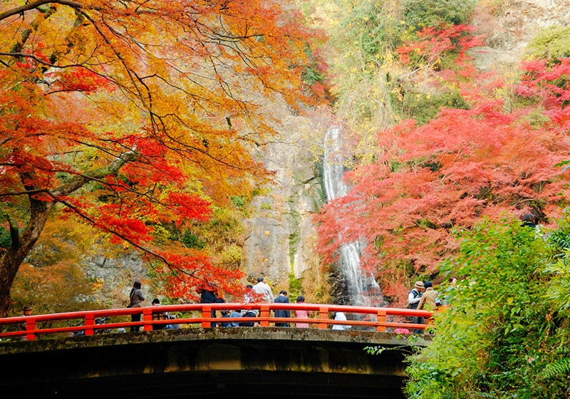 Minoh Park Waterfall