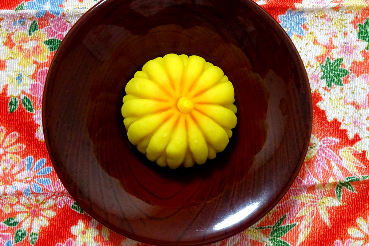 Japanese chrysanthemum(kiku)