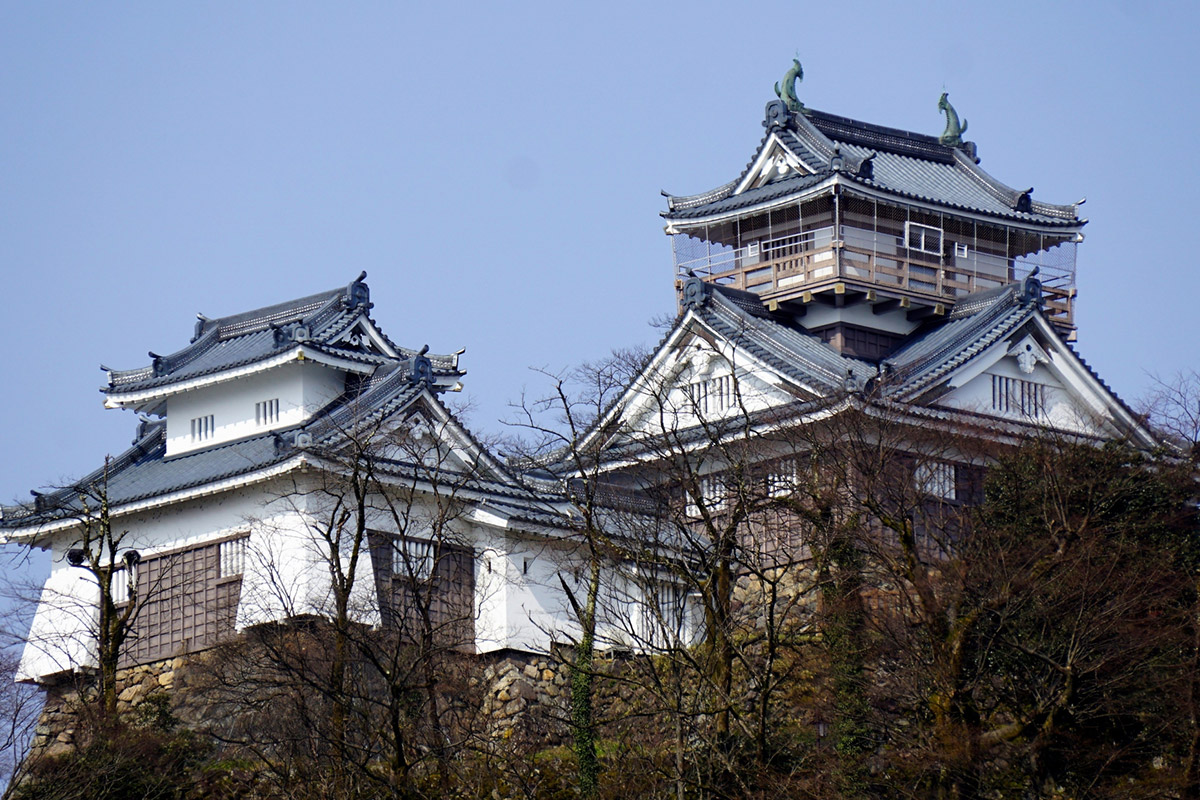 Echizen Ono Castle (Fukui)