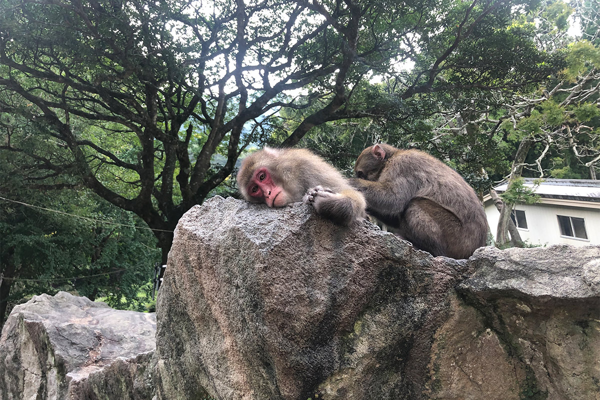 Takasaki Shizen Zoo