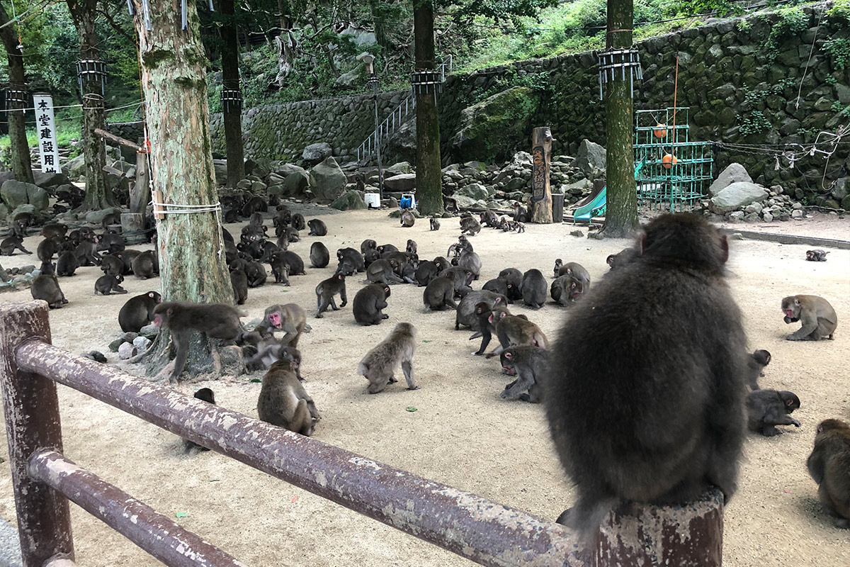 Takasaki Shizen Zoo