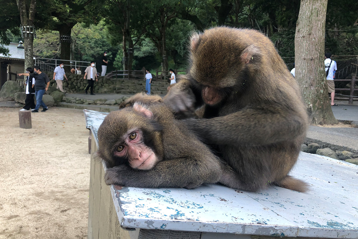 Takasaki Shizen Zoo