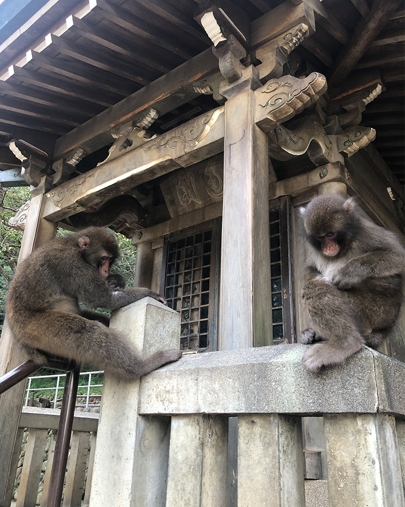 Takasaki Shizen Zoo