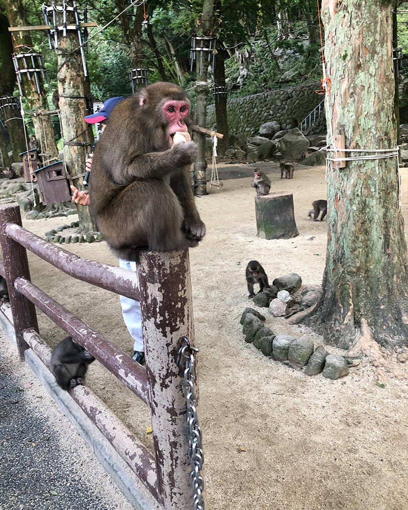 Takasaki Shizen Zoo