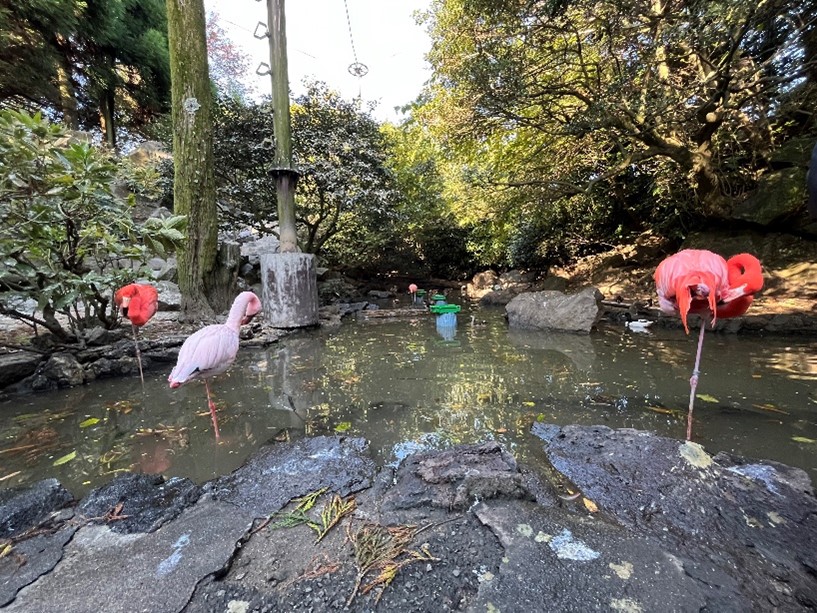 Izu Shaboten Zoo.