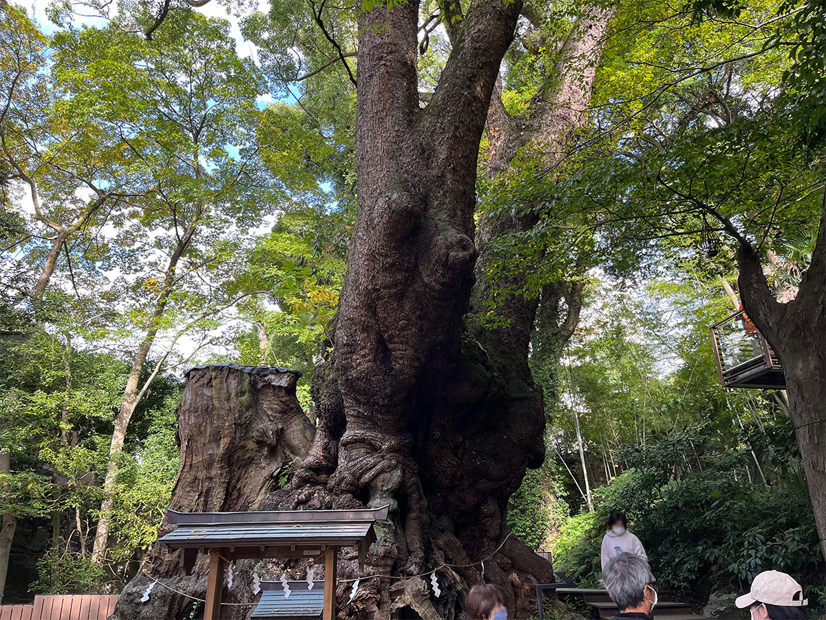 kinomiya-shrine