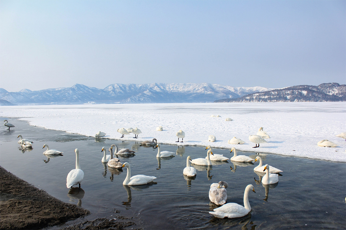 Lake Kussharo