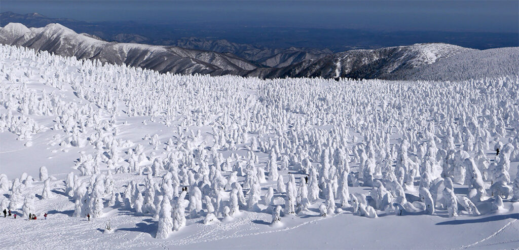 "Snow Monster" in Zao, Yamagata