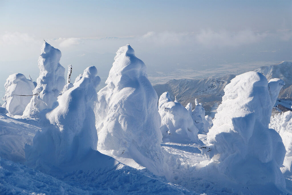 "Snow Monster" in Zao, Yamagata