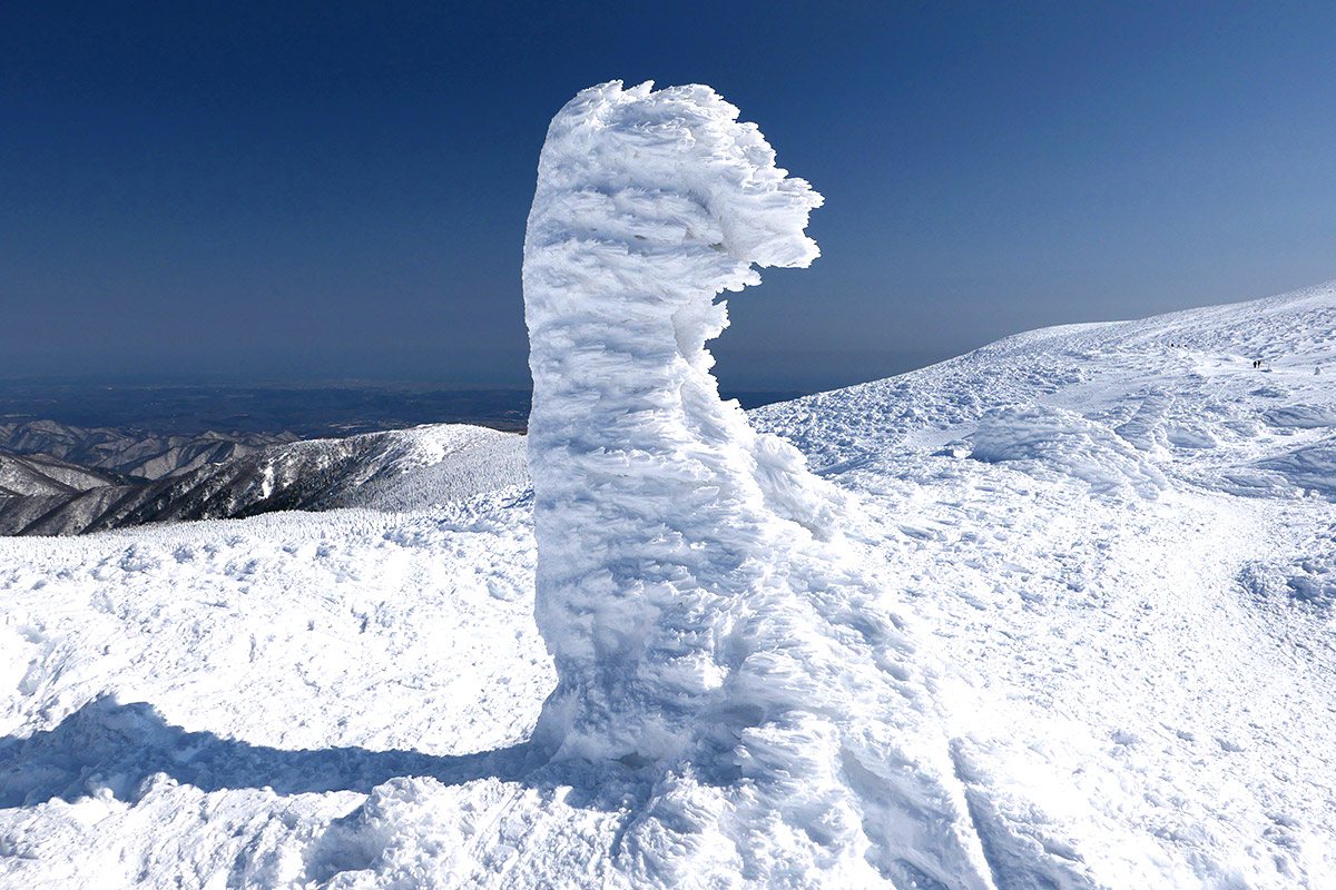 "Snow Monster" in Zao, Yamagata