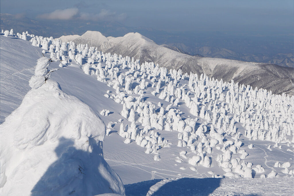 Zao's juhyo is usually at its best from January to February.