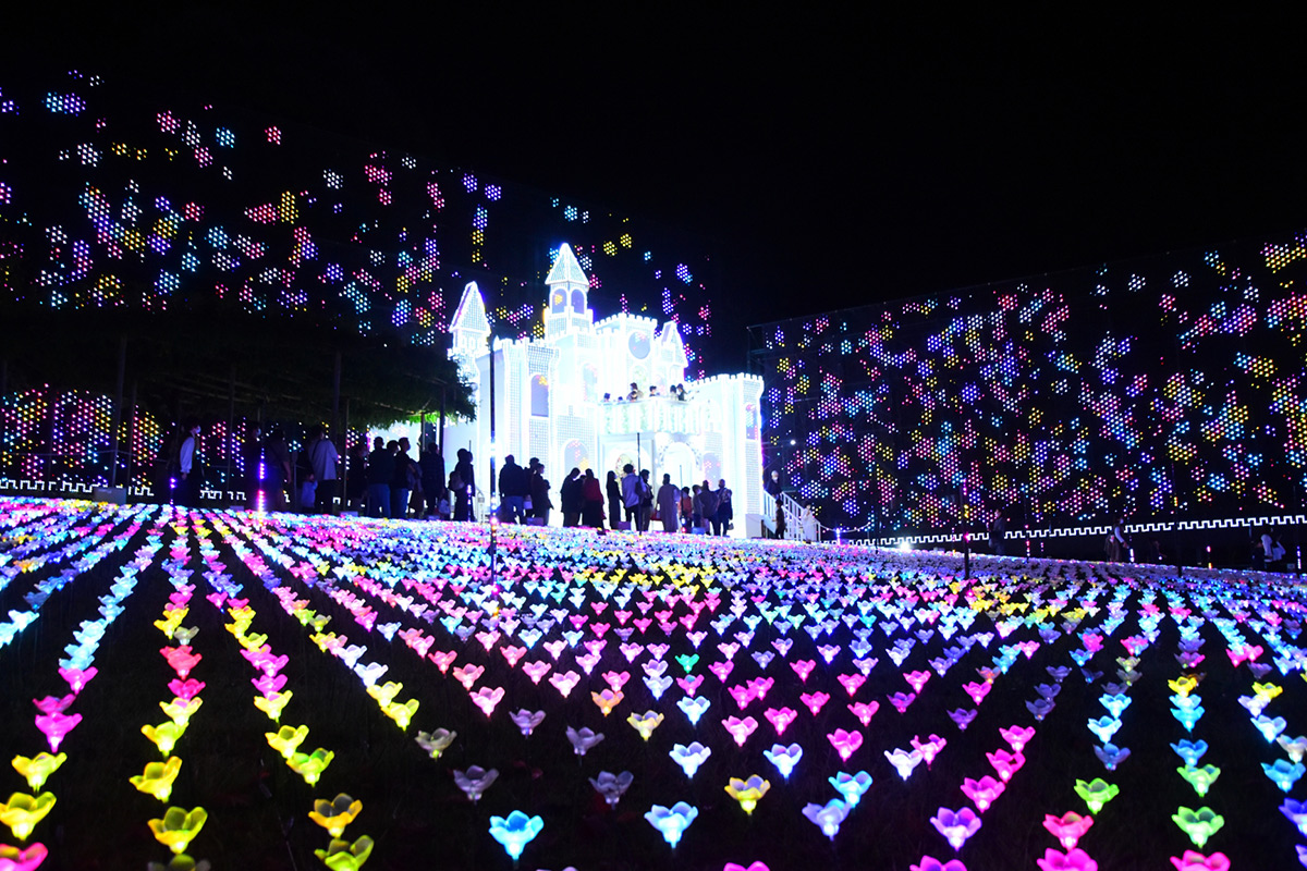 Ashikaga Flower Park in Tochigi Prefecture.