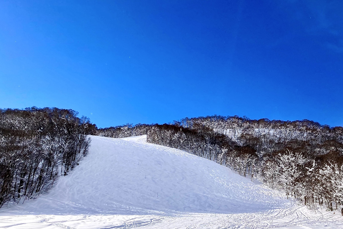 Niseko