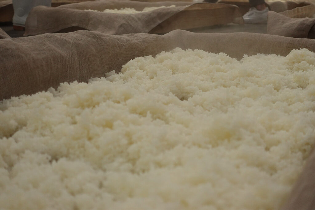 Rice washing and steaming