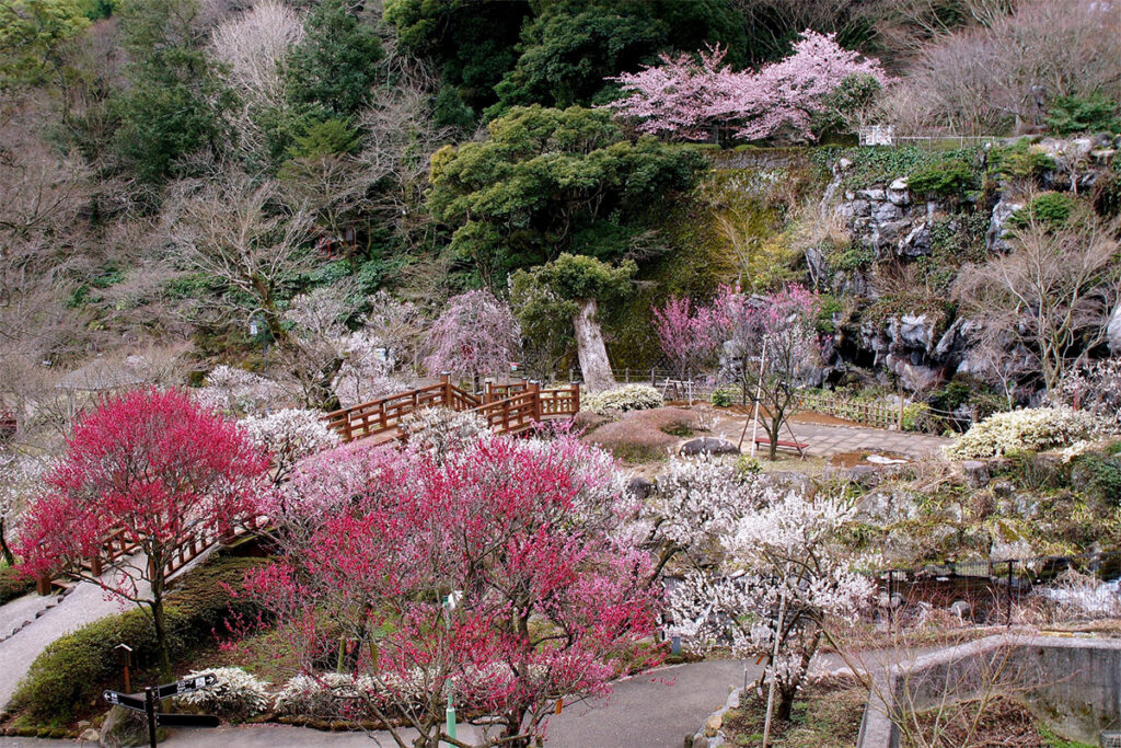 Atami Baien