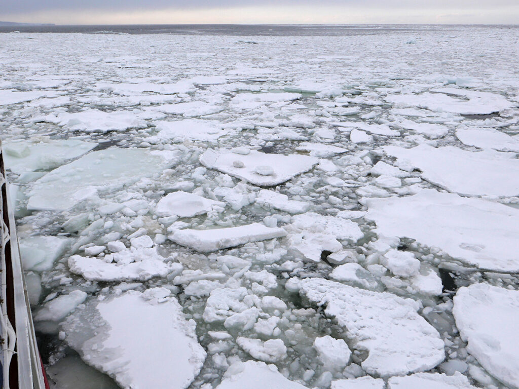 Drift Ice Cruise